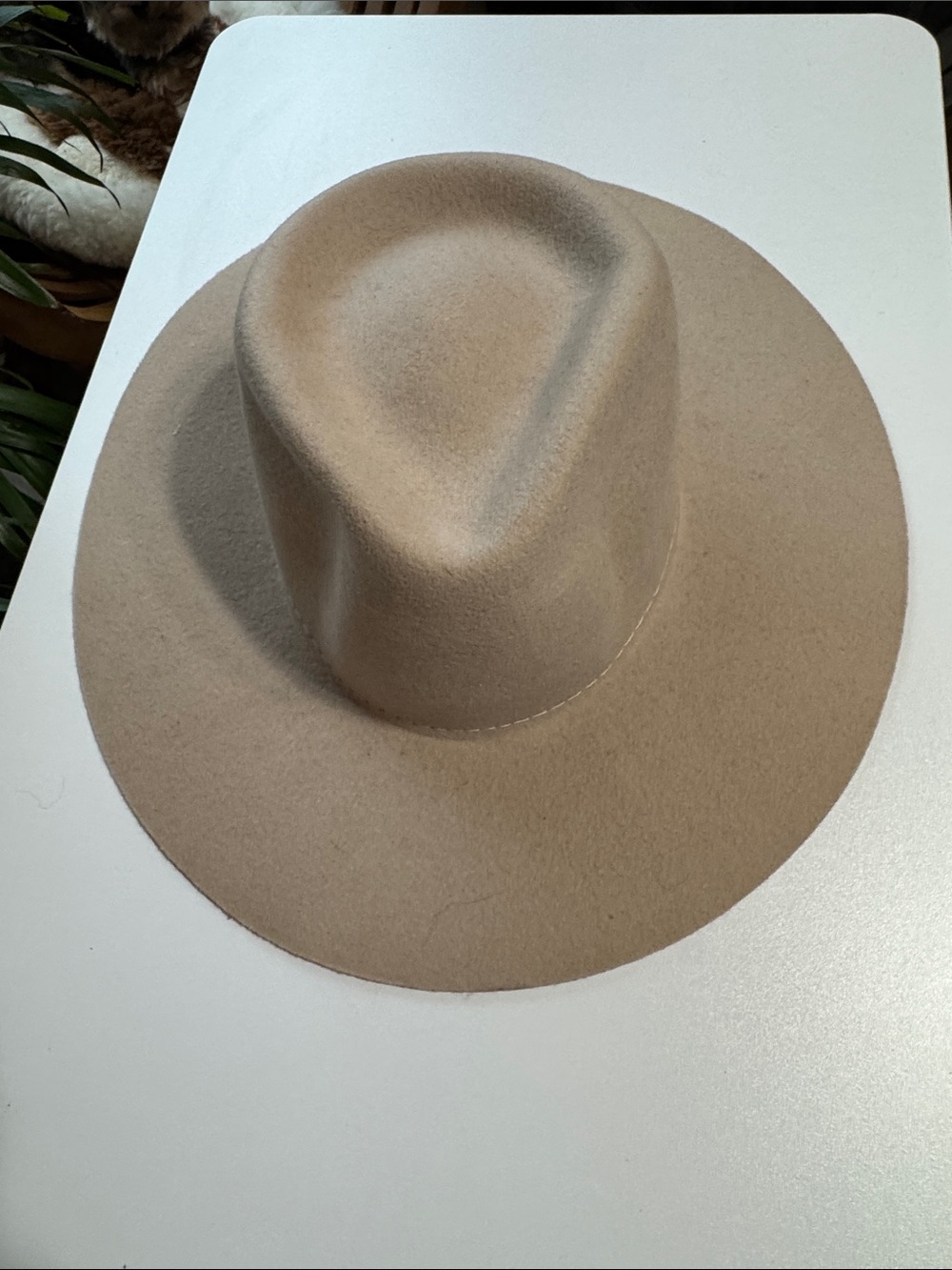 Twister Wide Brim Felt Fedora Hat - Beige Tan Wool XL